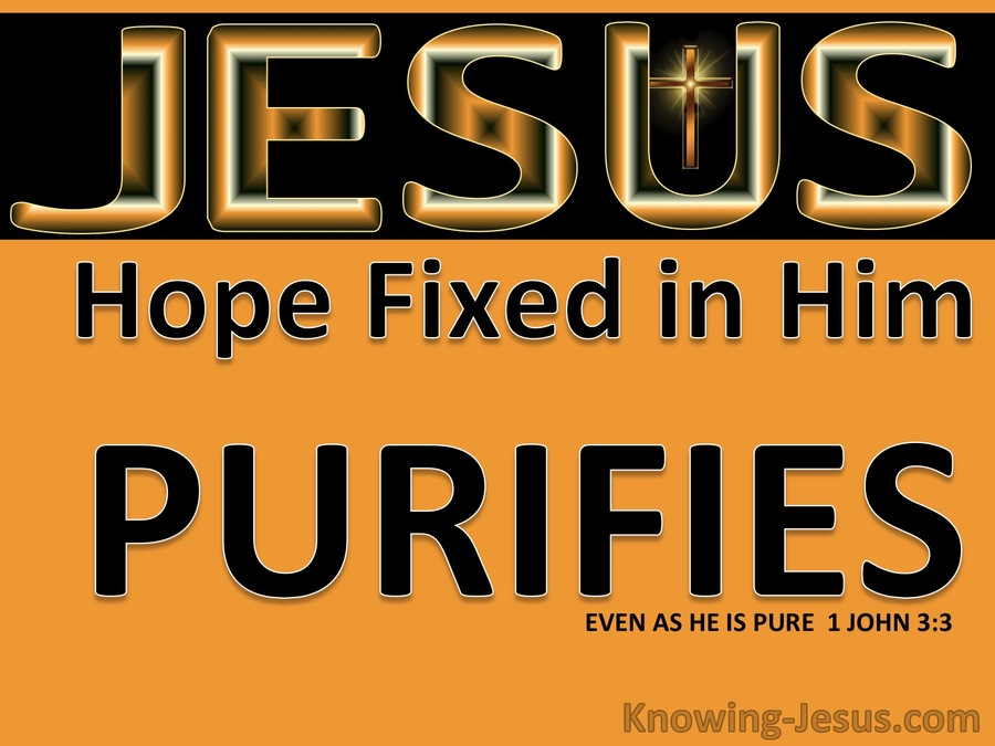1 John 3:3 Hope Fixed on Him Purifies As He Is Pure (orange)